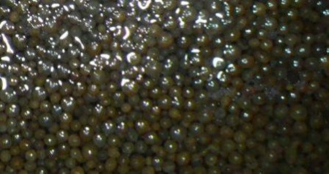 Resin Restore For Your Water Softener Make It New Again. Don’t Replace Resin!