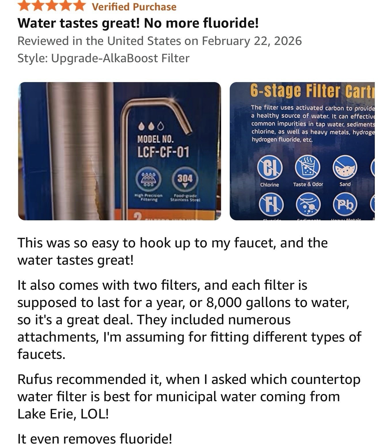 LCF Alkaline Countertop Water Filter, Silver Ions Enhanced 6-Stage Stainless Ste