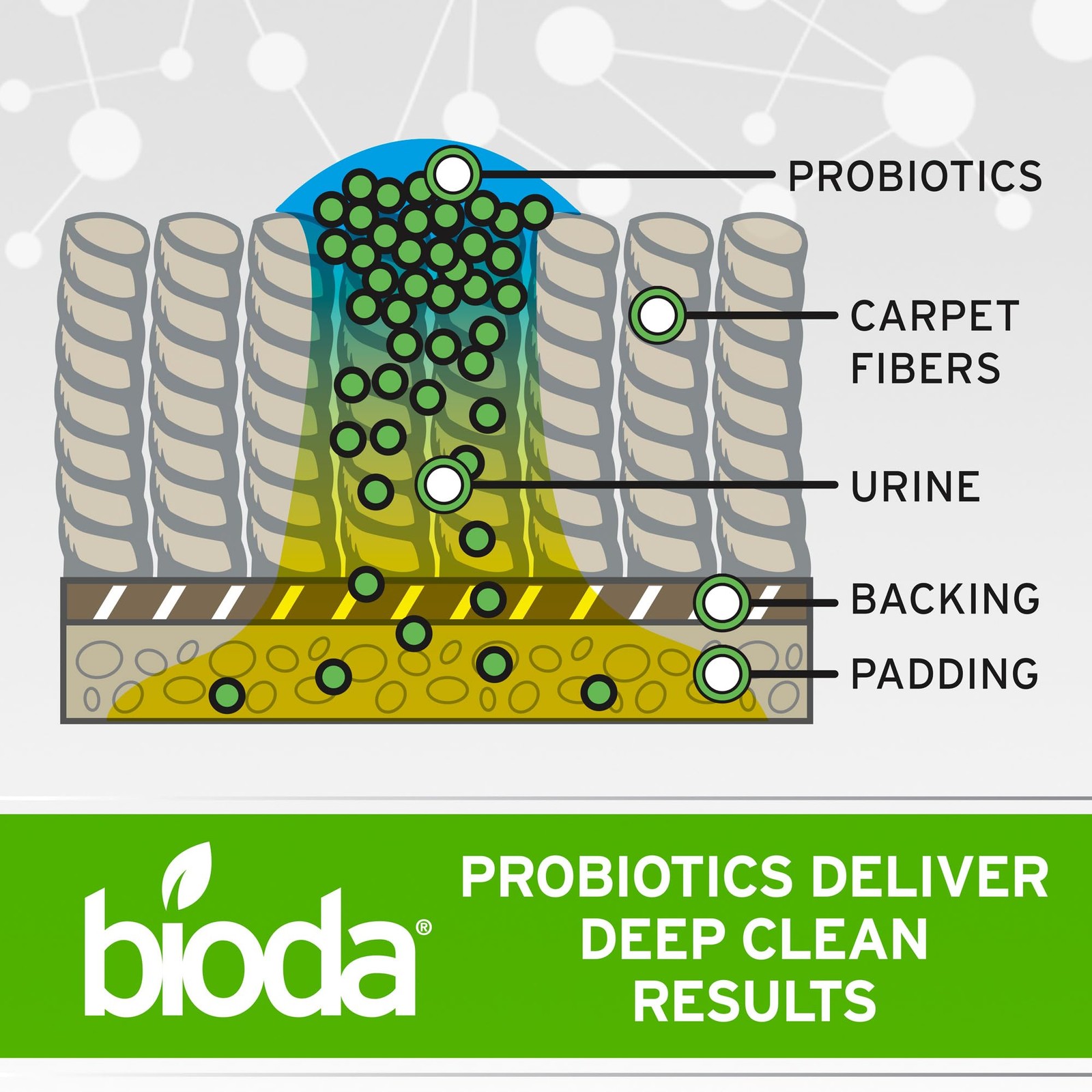 Bioda Multi-Purpose Probiotic Enzyme Cleaner and 128 Fl Oz (Pack of 1)