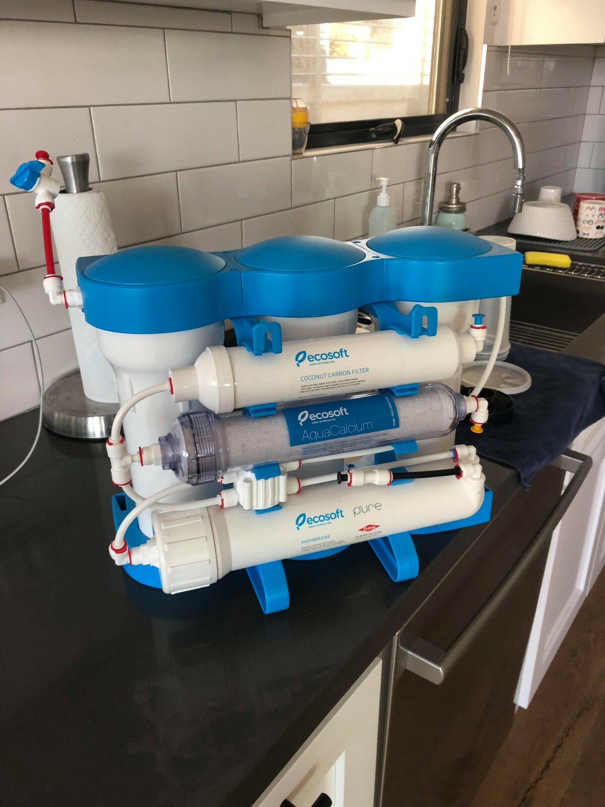 ECOSOFT P’URE RO Under Sink Water Filter 6 Stages