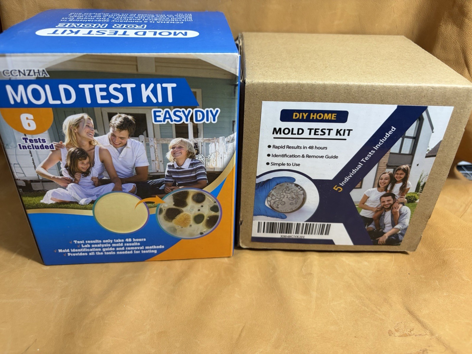 Mold Test Kit Lot